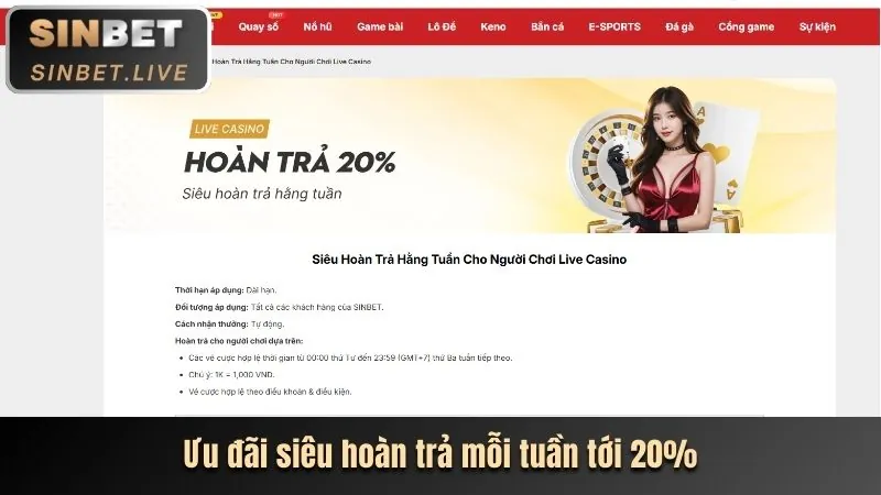Quan Sát và Chọn Mục Tiêu
